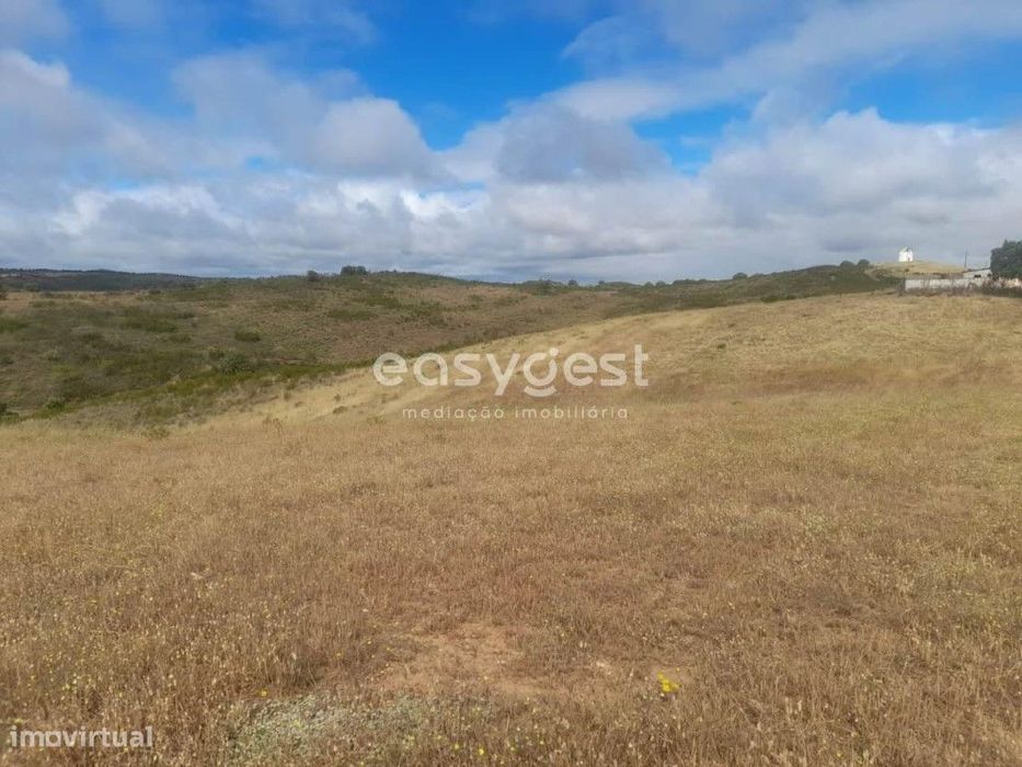 Monte para recuperar localizado na freguesia de Martim Longo