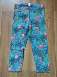 Cool Club 152 legginsy getry 3/4 flamingi