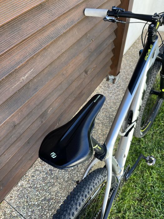 Scott scale Carbono