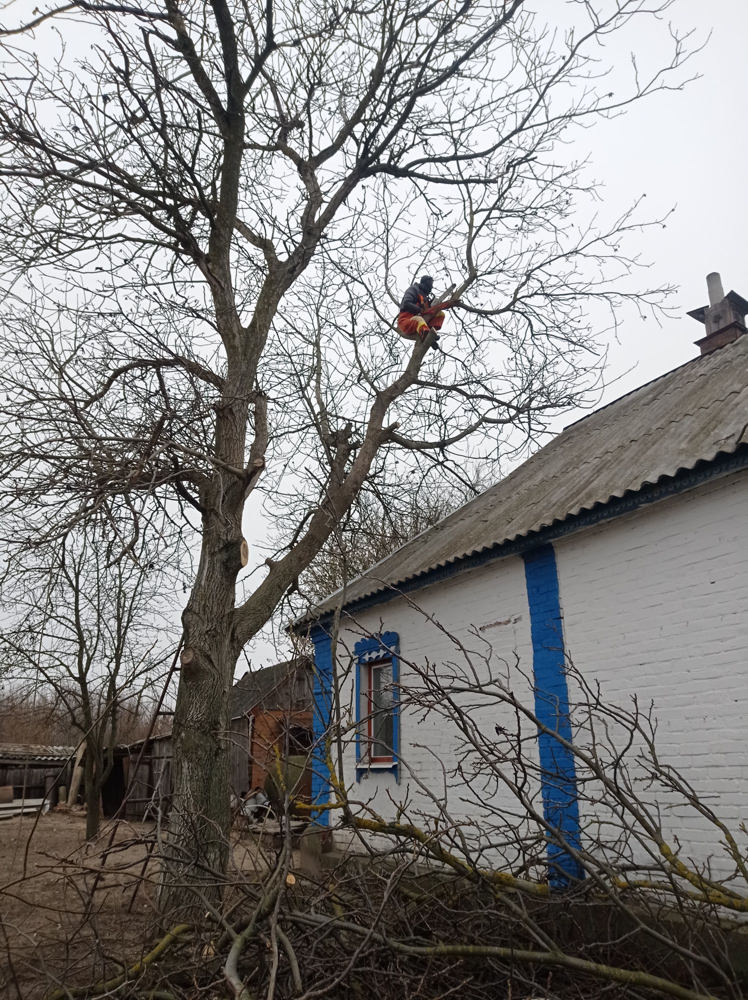 Спиляємо дерево недорого