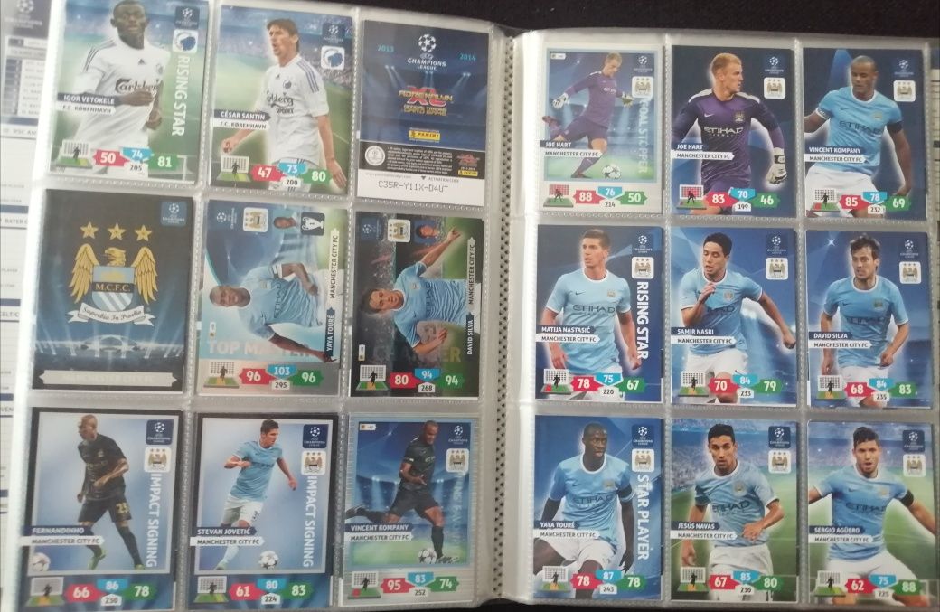 Album Panini Champions League 2013/14 362 karty