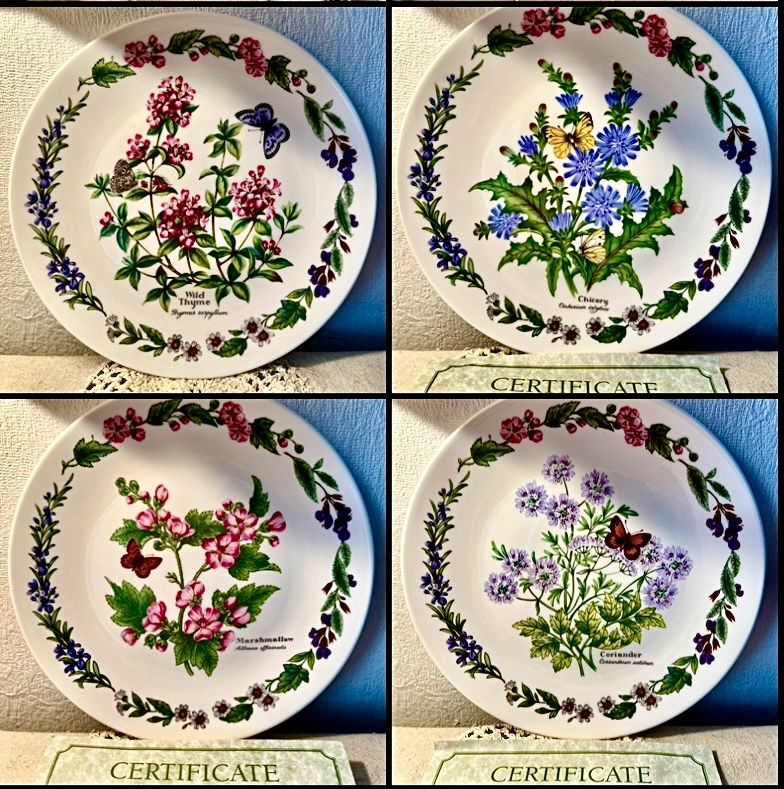 *KOMPLET 8 Elegancki ROYAL WORCESTER ZIOŁA MOTYL Vintage Kwiaty Talerz