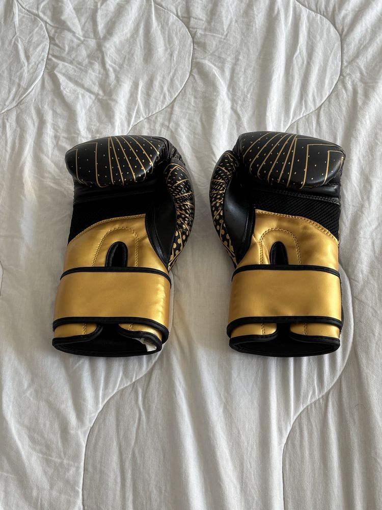 Luvas de Boxe Fila Profissionais