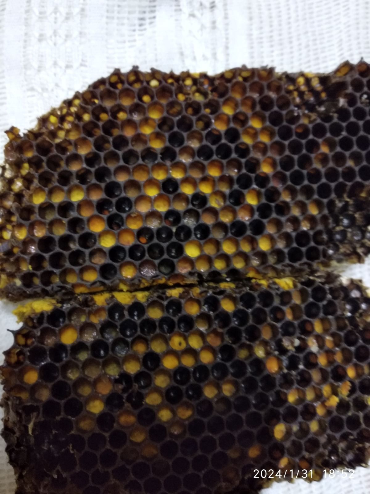 Продам пергу пчелинную в сотах