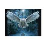Diamond painting haft diamentowy  - sowa (3320)