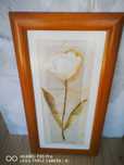 Lote de 4 Quadros decorativos