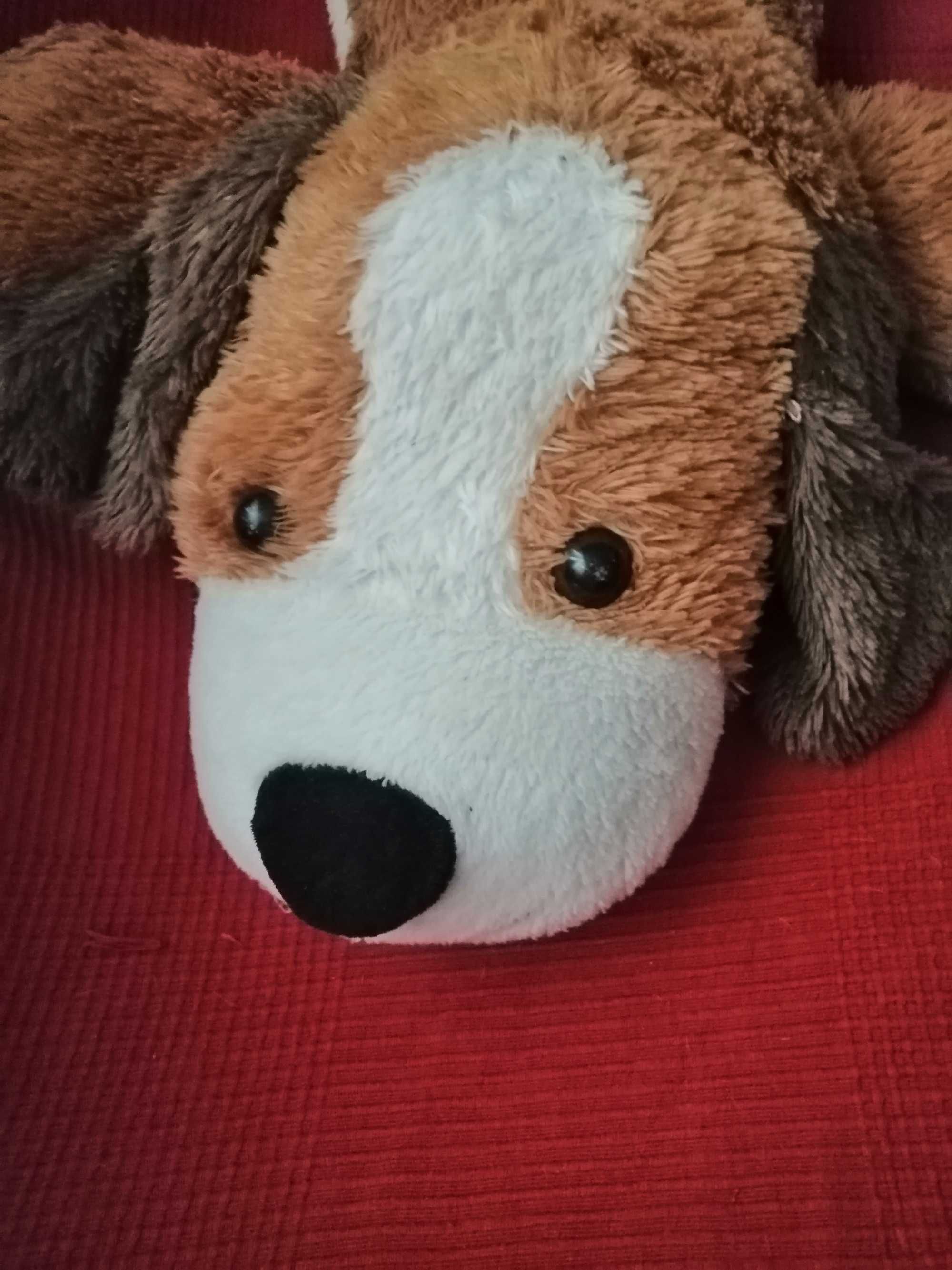 Cão peluche enorme