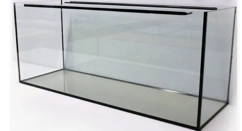 Aquários de diferentes tamanhos