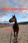 hobby horse MIS.