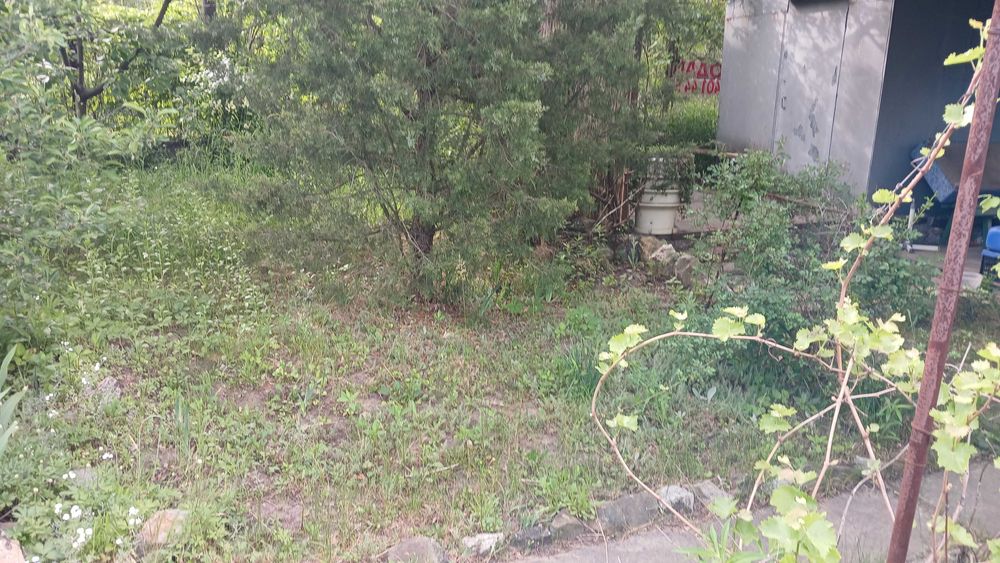 Продам Дачу в с.Червоний Садок