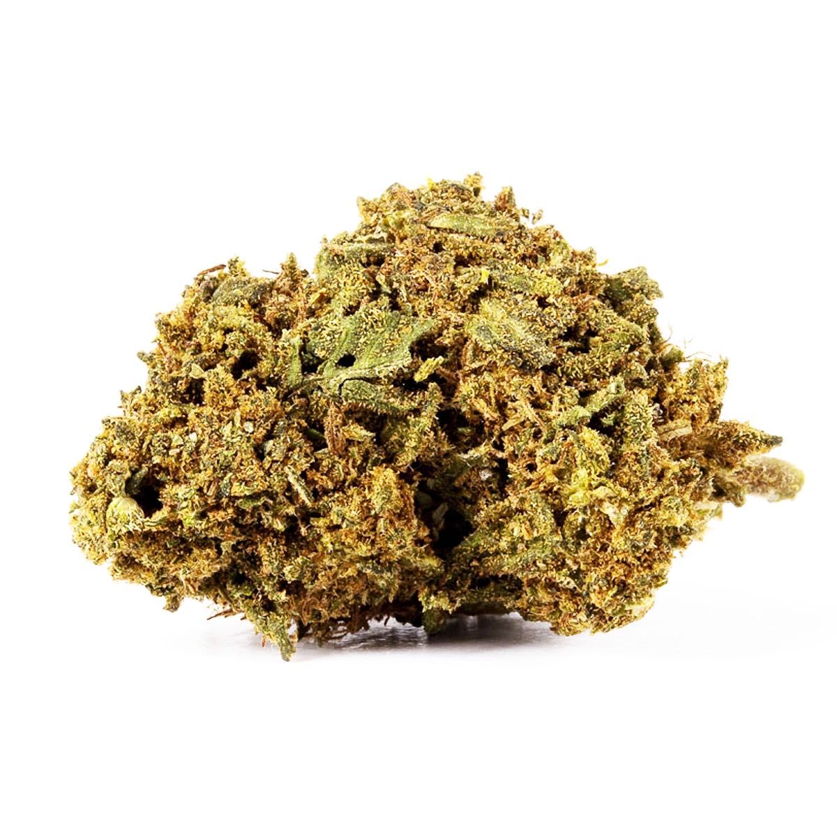 100G Susz konopny CBD JACK HERRER 30% Producent Szwajcaria