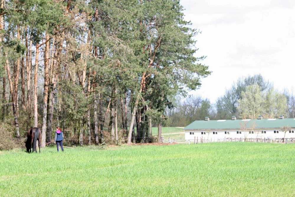 Stajnia - Ośrodek jeździecki pod Warszawą szuka nowego właściciela