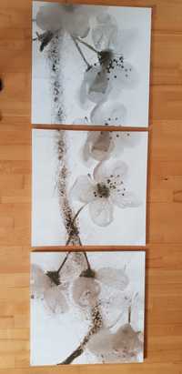 Tryptyk kwiaty obrazy IKEA 56 x 56 cm.