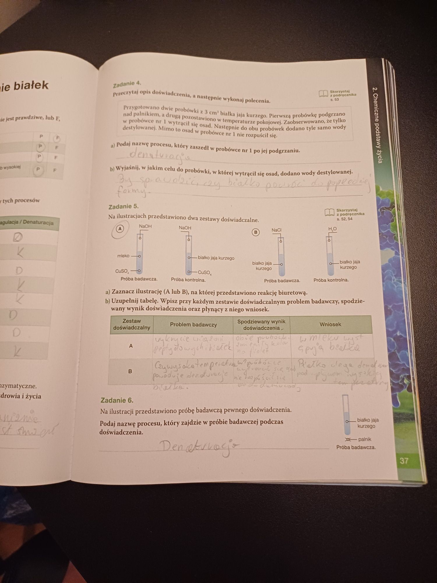 Biologia na czasie karty pracy 1