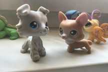 Lps pop littlest pet shop collie zestaw