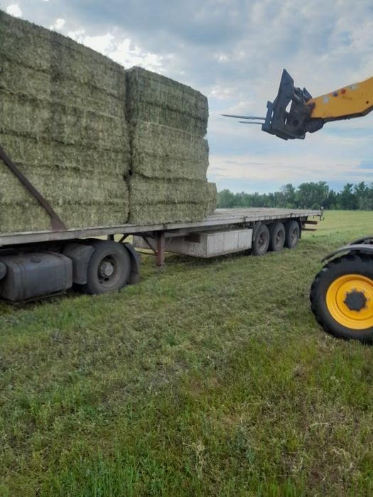 Люцерка гранульована