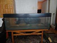 Sprzedam akwarium 200l