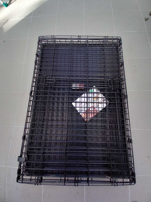 Caixa de transporte para cão