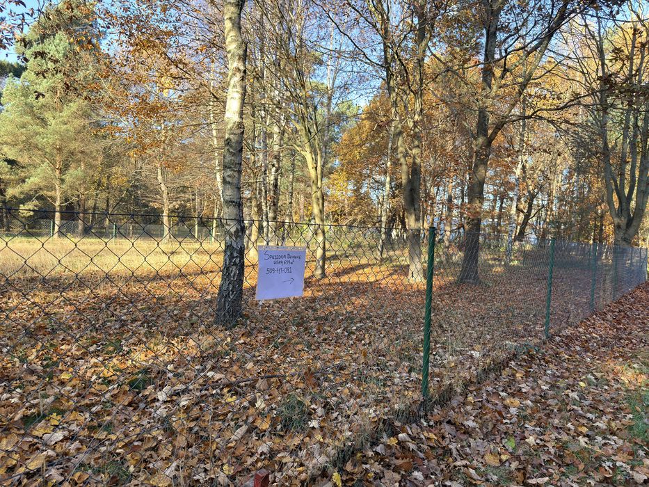 Dzialka leśna nad morzem Rozewie