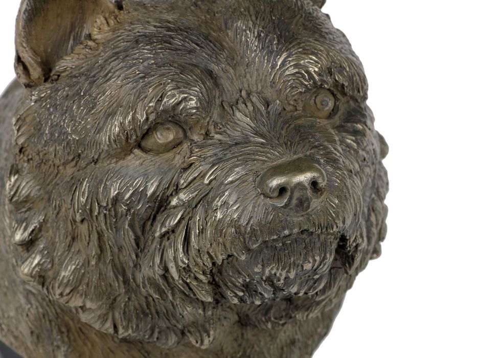 Norwich Terrier głowa na kamieniu Art-Dog