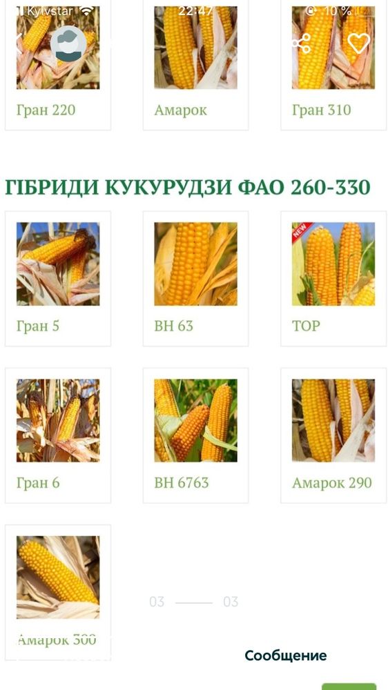 Насіння семена Кукурудзи Вніс вн 6367,гран 6,Тесла,вн 63 ОРИГІНАЛ!!!