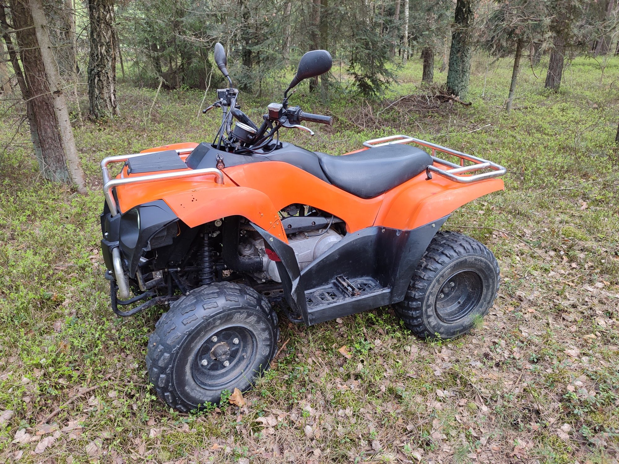 Kawasaki Brute Force 300  quad