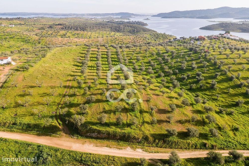 Terreno de 7500m2 c/ poço | Alqueva