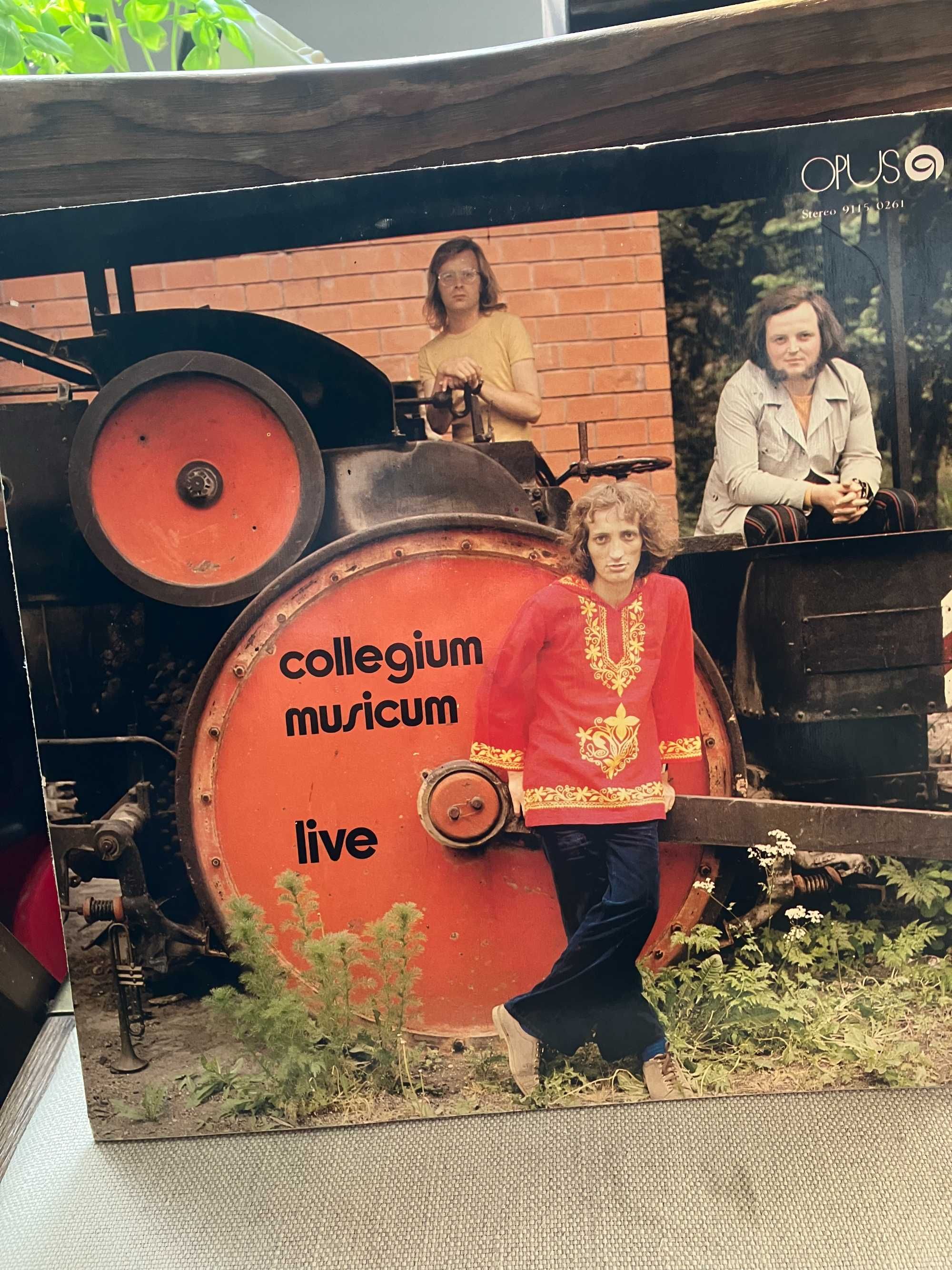 Winyl Collegium Musicum  " Live " mint