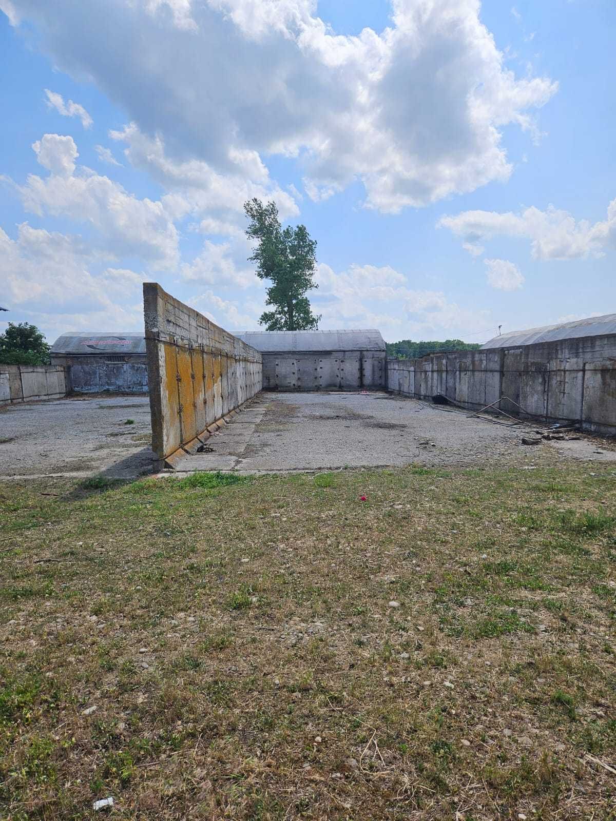 Продам ферма 1,5 га Яноші