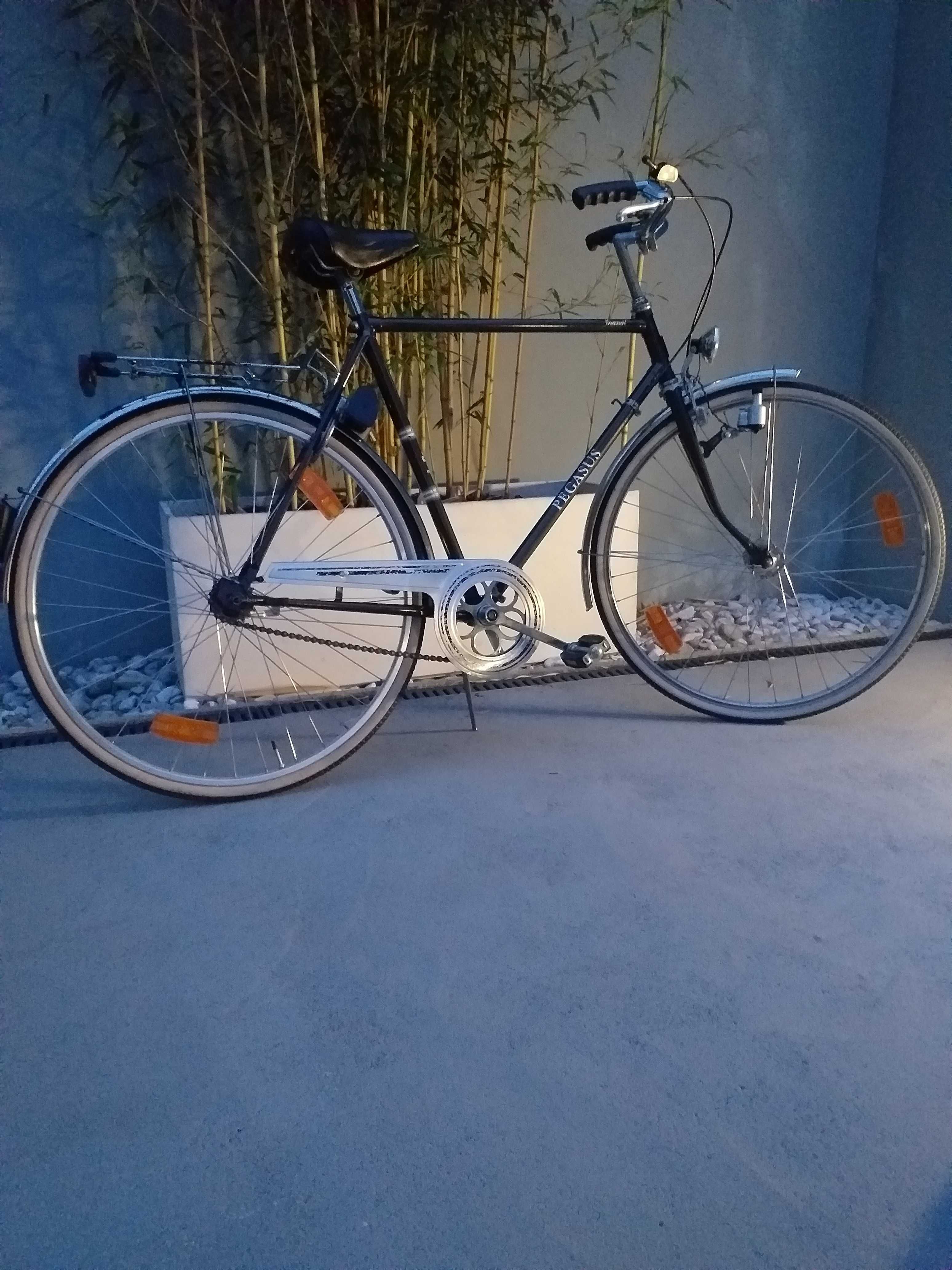 Vendo bicicleta antiga cidade pegasus