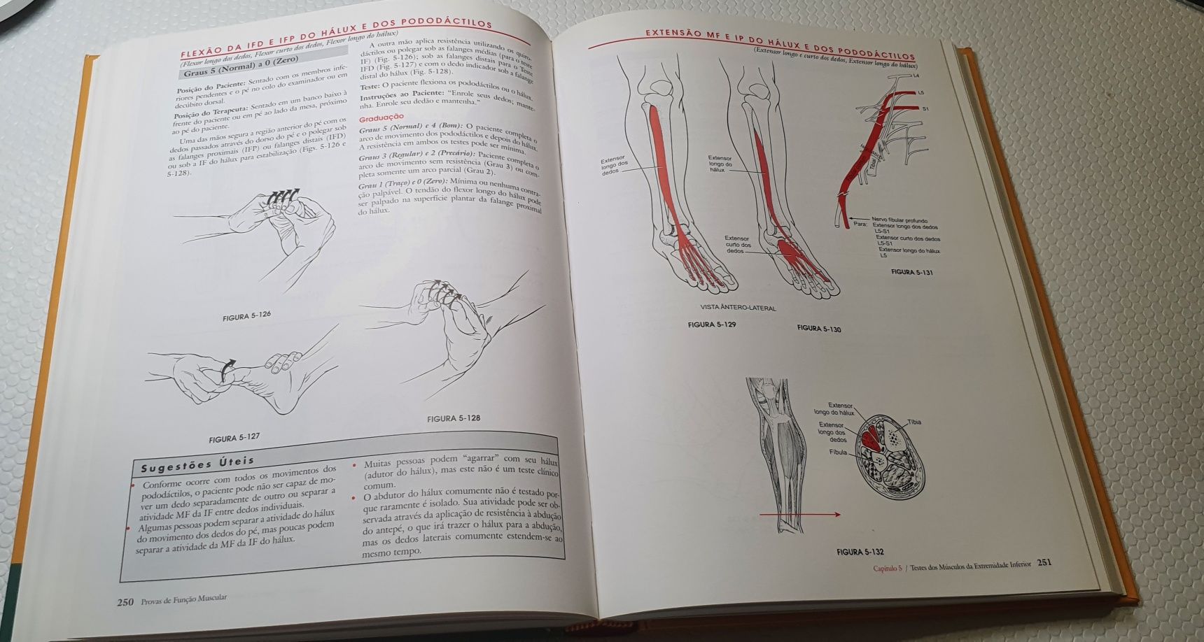 Provas de Função Muscular - Técnicas de Exame Manual