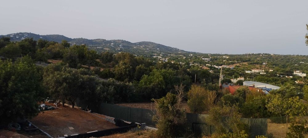Terreno rústico em Bordeira