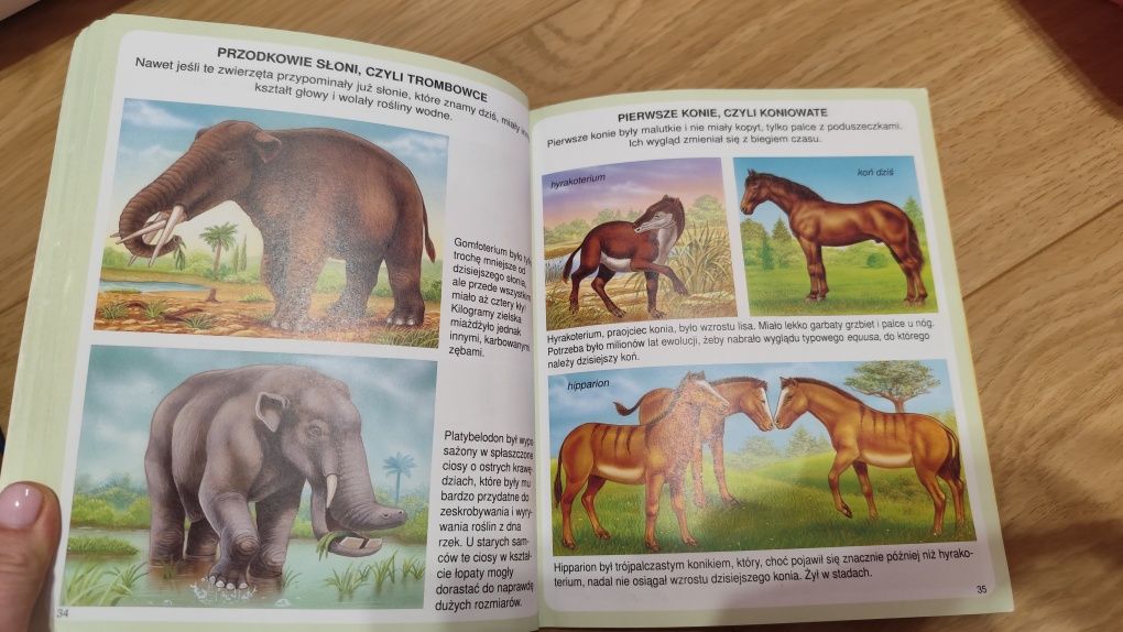 Świat w obrazkach Dinozaury i prehistoria