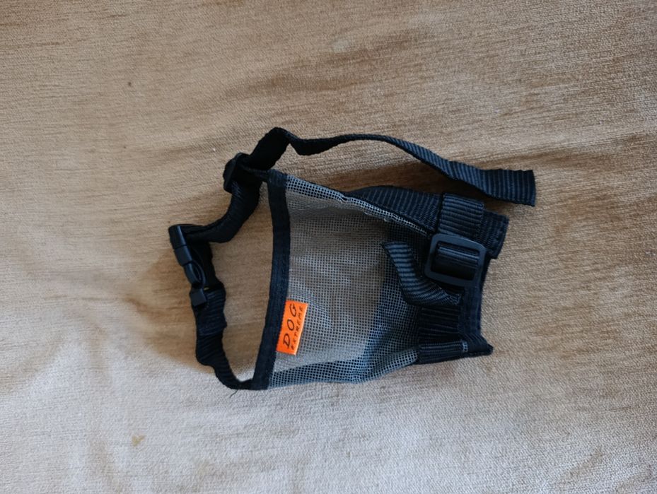 Набір аксесуарів для собак: іграшки, повідки, щітки, поїлка, намордник