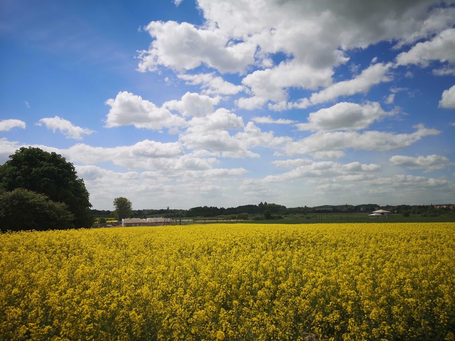 Nidzica dom 106,55m2