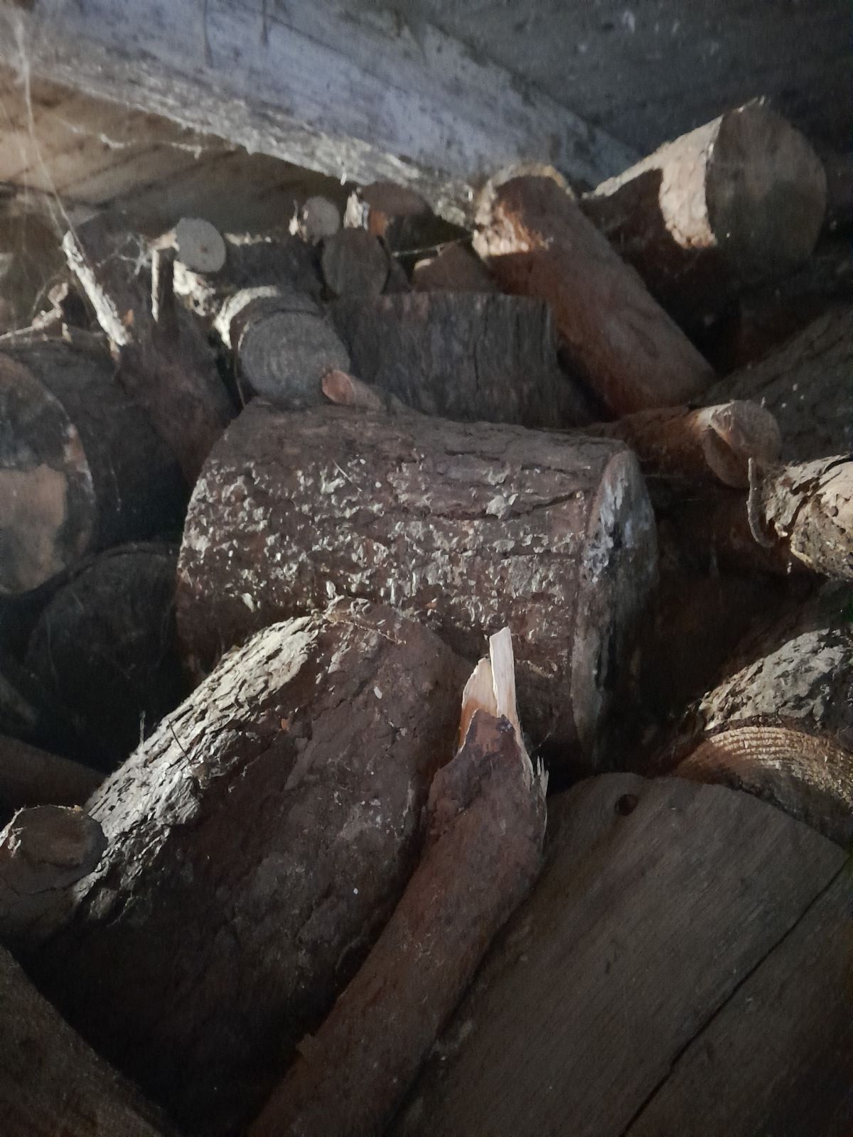Drewno opałowe do pieca lub kominka
