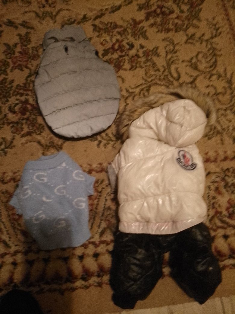 Продам одяг для тварин,лежаки