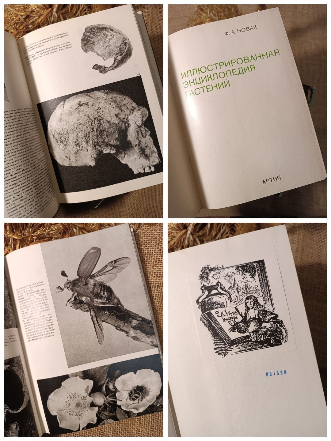 7 книг Энциклопедия растений, животных и т.д.
