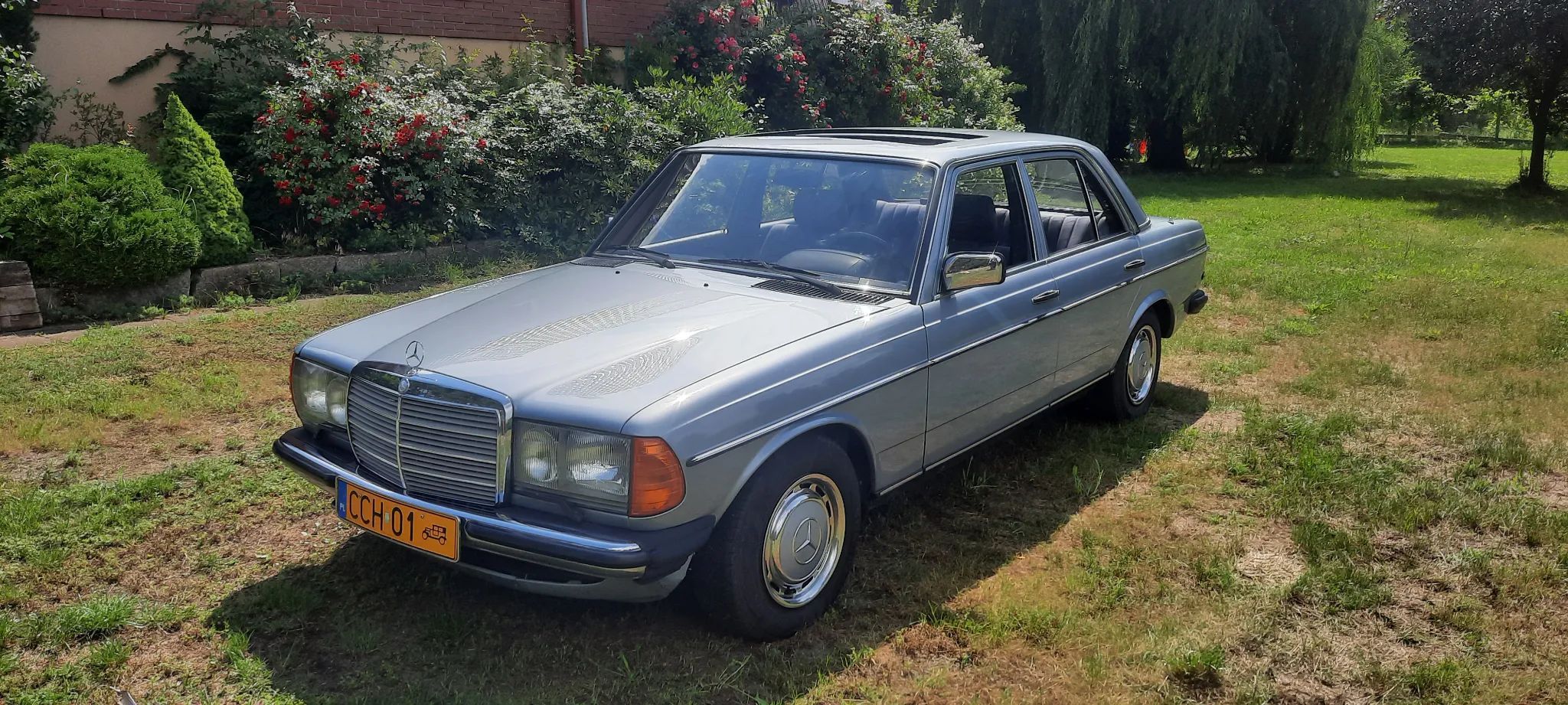 Mercedes-Benz W123 Mercedes-Benz Daimler-Benz W123 1981r oryginał 250 automat