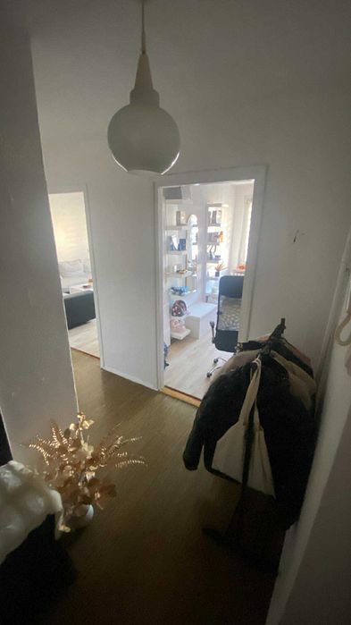 Mieszkanie do wynajęcia