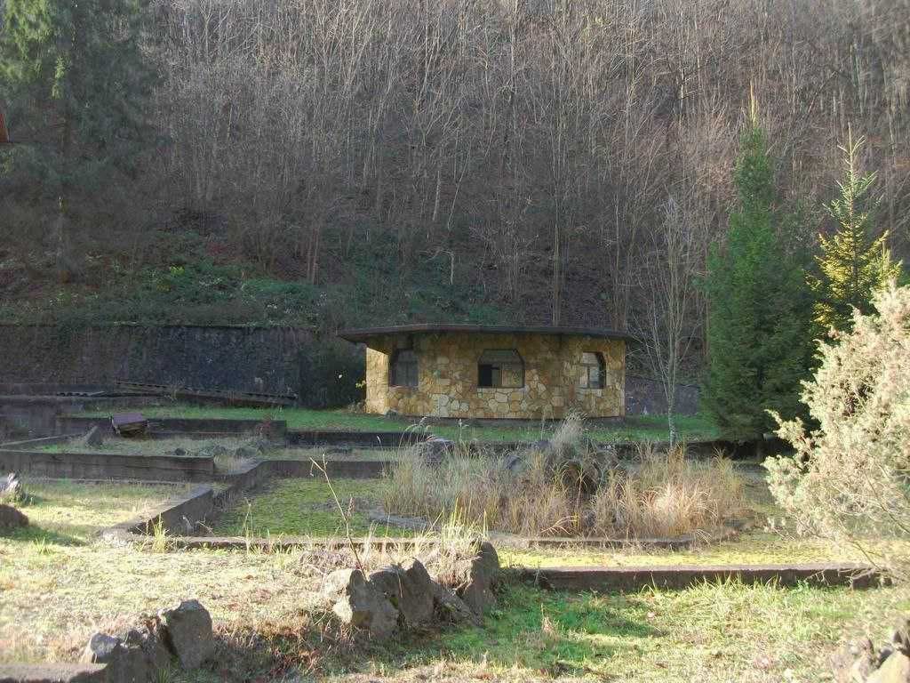 Санаторний комплекс в Закарпатті, Свалява! Мінеральні води, с Стройне!