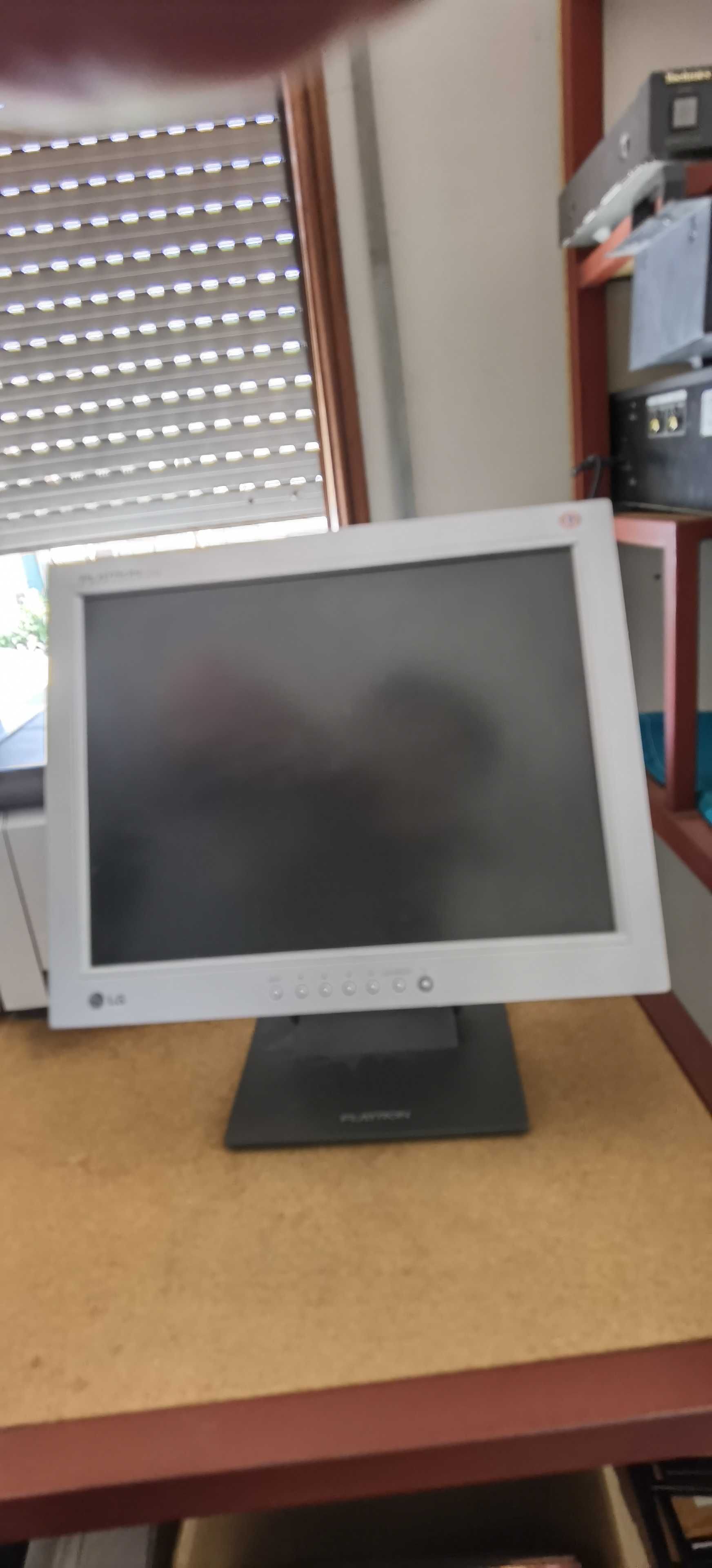 LG Flatron Monitor