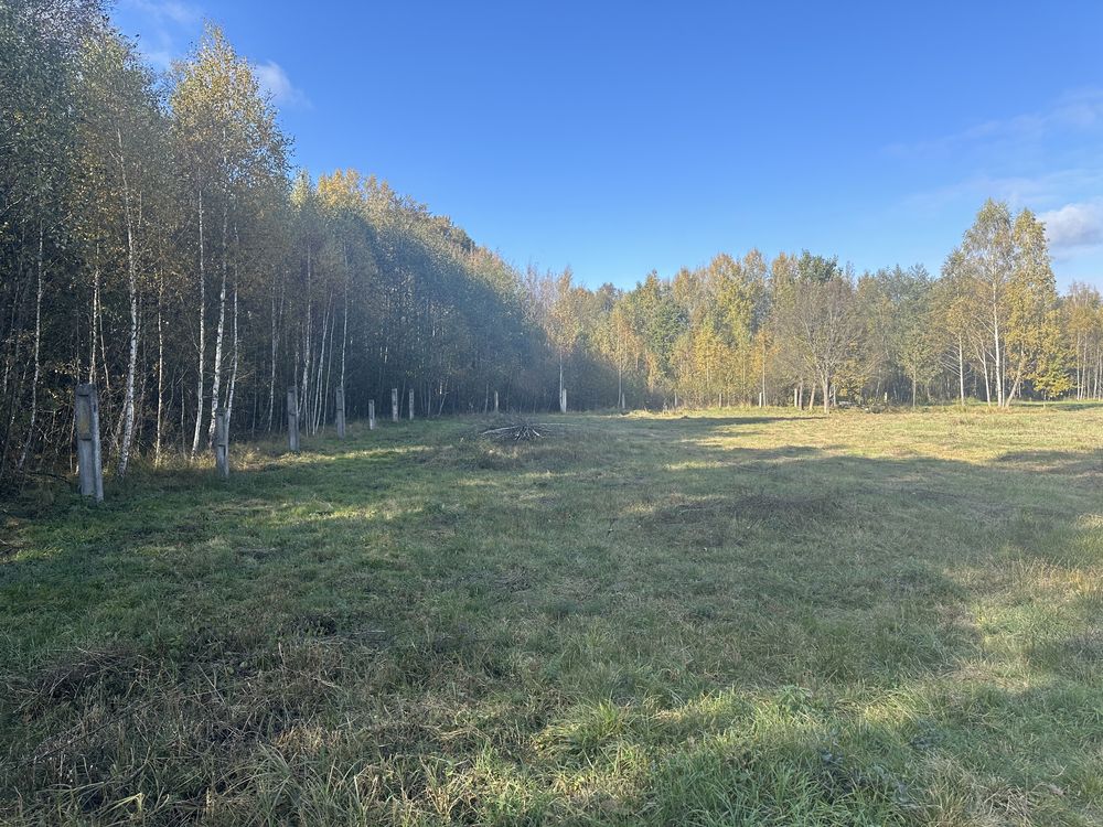 Виробництво деревного вугілля
