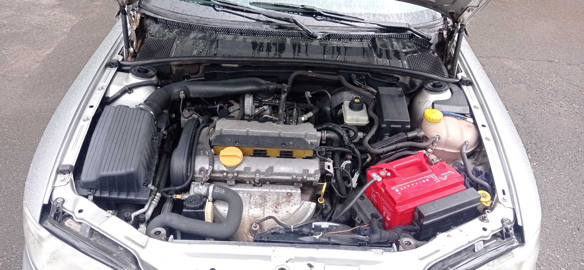 Opel vectra b 1.6 бензин 2000 р.