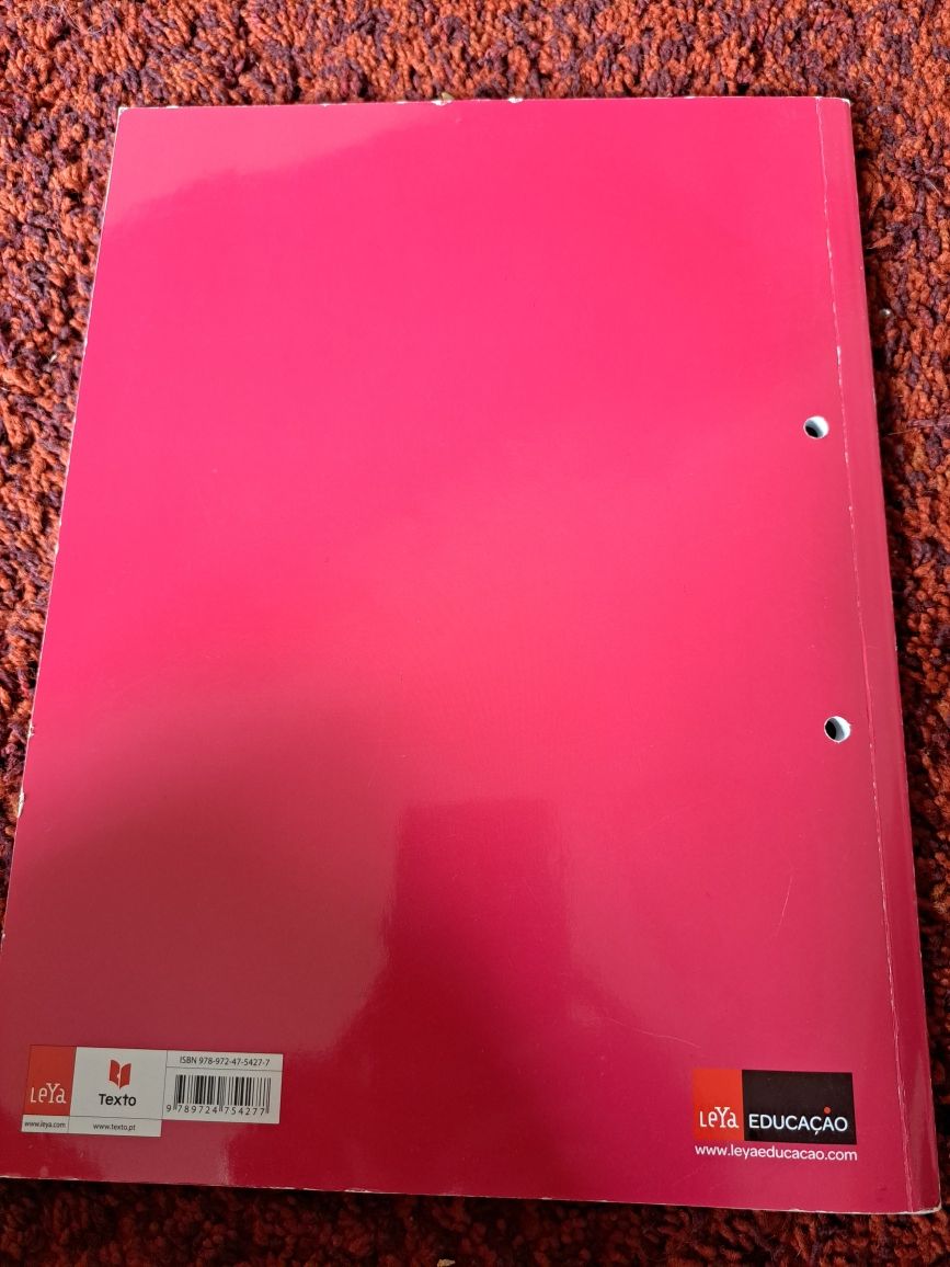 See saw. Livro atividades. Inglês