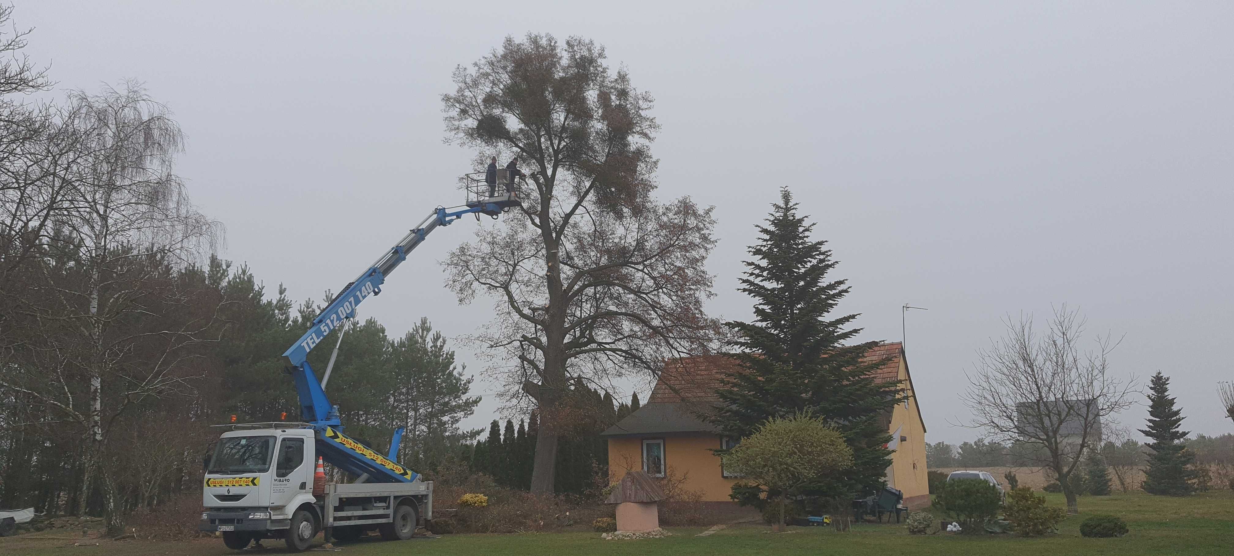 Wycinka Drzew Przycinanie Koron, Podnośnik Koszowy, Zwyżka,Minikoparka