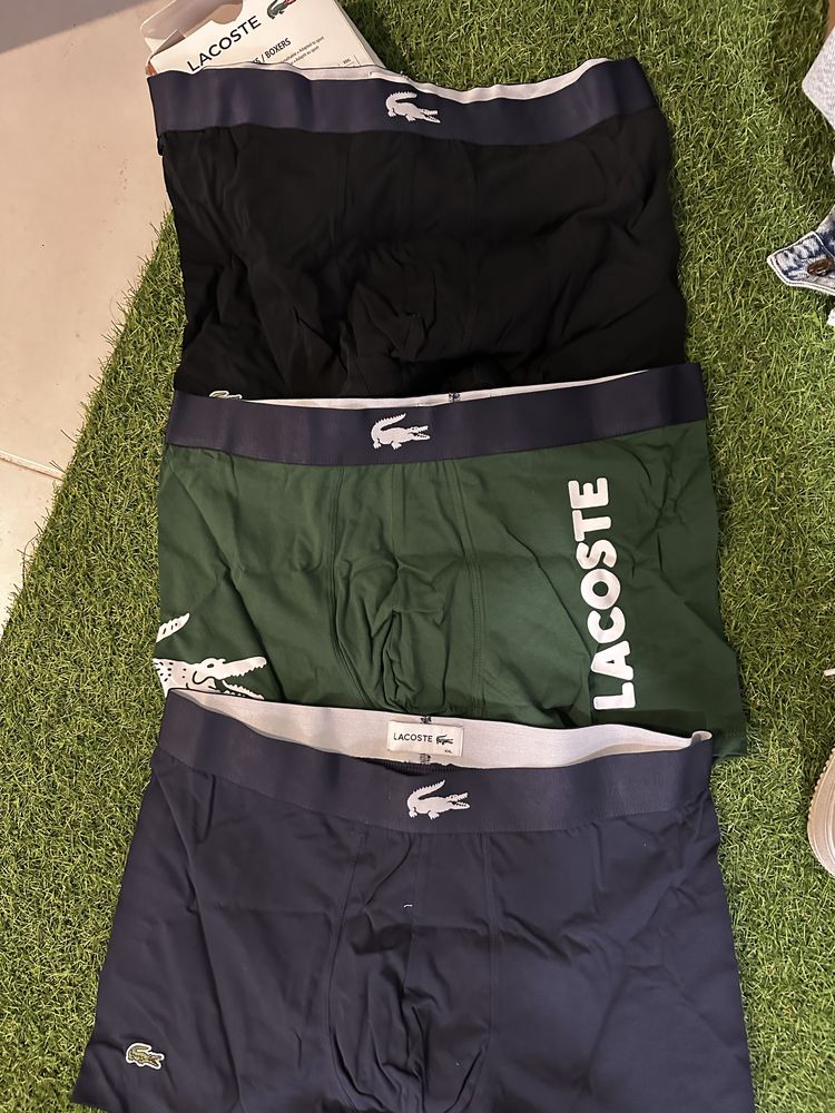 boxer lacoste novos
