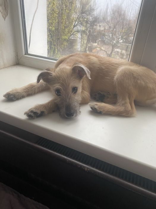 Майк в добрі ручки