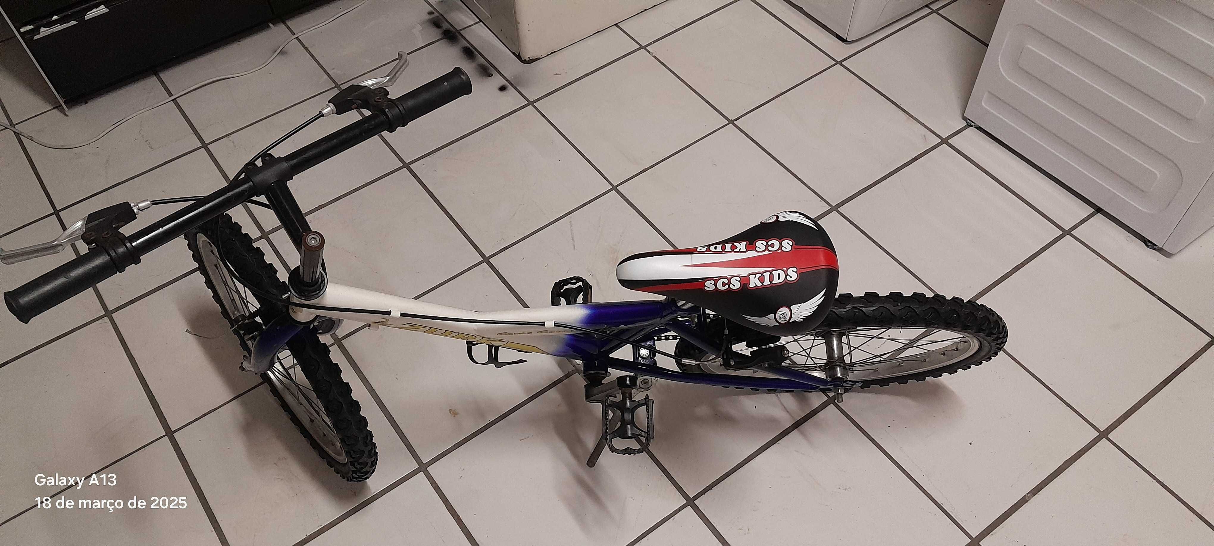 Bicicleta roda 20