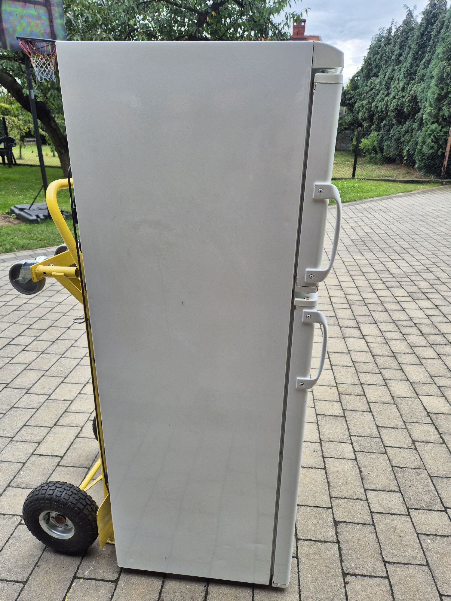 Lodówka Amica Fresh Line Plus